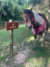 Hot Pink and light Teal Tack set with barrel reins …. All sizes.