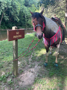 Hot Pink and light Teal Tack set with barrel reins …. All sizes.