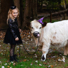 Black  adjustable livestock halter and lead for small cows, sheep, alpaca, etc