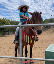 Serape  Tack set …. All sizes