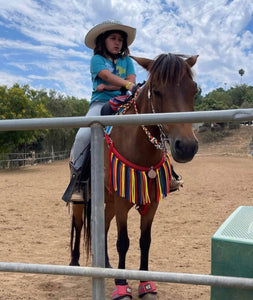 Serape  Tack set …. All sizes