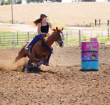 horse tripping  collar mule tape black with purple lacing and leather tugs