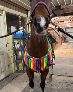 Rainbow fringe breast collar with wither strap.