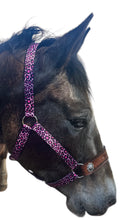 PERSONALIZED pink cheetah nylon horse halter.