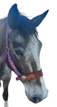 PERSONALIZED pink cheetah nylon horse halter.