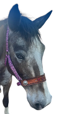 PERSONALIZED pink cheetah nylon horse halter