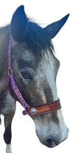 PERSONALIZED pink cheetah nylon horse halter