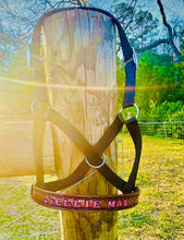Personalized black Nylon cow halter all sizes.