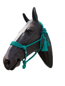 Green turquoise Braided mule tape horse halter with flat noseband