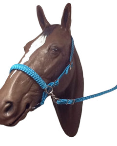 Simple bitless Bridle and reins all sizes and colors