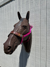 PERSONALIZED   nylon horse halter fuchsia