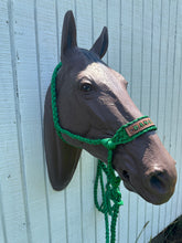 Personalized Kelley Green Braided mule tape horse halter with lead