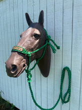 Personalized Kelley Green Braided mule tape horse halter with lead