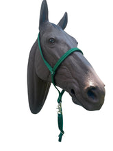 Green nylon tie down and tie down strap