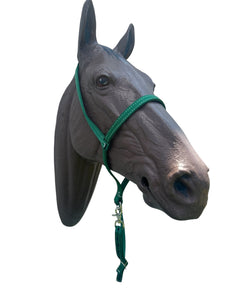 Green nylon tie down and tie down strap
