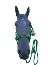 Personalized Kelley Green Braided mule tape horse halter with lead