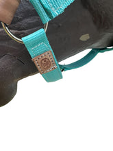 PERSONALIZED   nylon horse halter turquoise