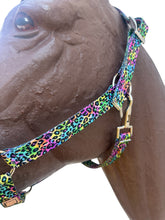 PERSONALIZED horse halter rainbow cheetah