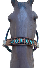 PERSONALIZED horse halter rainbow cheetah