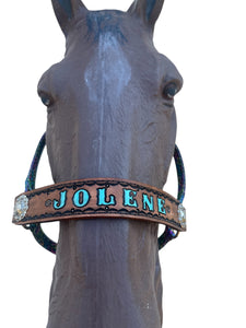 PERSONALIZED horse halter rainbow cheetah