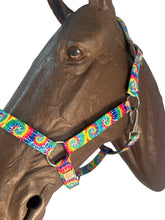 Horse Halter nylon tie dye