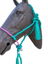 Lariat mule tape horse halter with lead pink and teal