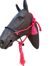 Lariat mule tape horse halter with lead pink