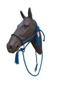 Lariat mule tape horse halter with personalized feather tag and  lead royal blue