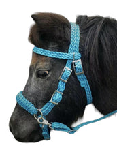 complete bitless bridle side pull hackamore neon turquoise ....pony, Cob, Horse. or Draft horse size