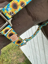 Sunflower nylon horse halter