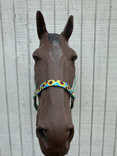 Sunflower nylon horse halter