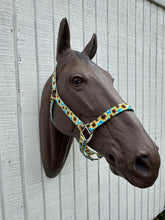 Sunflower nylon horse halter