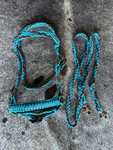 bitless fringe Tack set neon turquoise and brown.