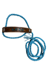 Regular size cow halter 36 colors available