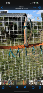 Teal leather tack set one ear and tripping collar.