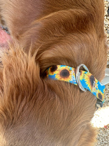 Blue sunflower Nylon dog collar