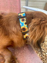 Blue sunflower Nylon dog collar