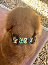 Cow sunflower Nylon dog collar (option to personalize)