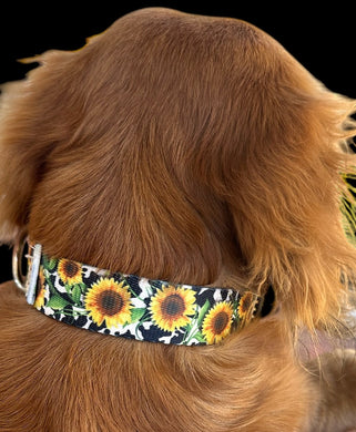 Cow sunflower Nylon dog collar (option to personalize)