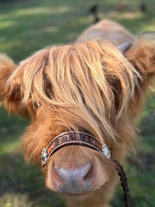 Personalized cow halter small mini cow or calf