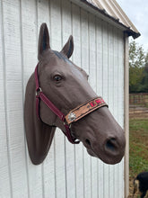 PERSONALIZED burgundy nylon horse halter