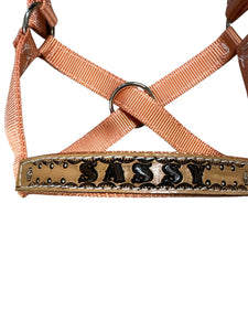 Personalized mini cow halter 350-500 lbs