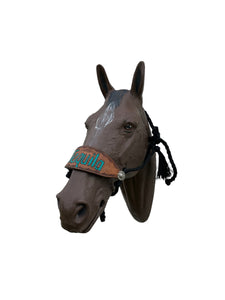 Black Braided mule tape horse halter with personalized noseband