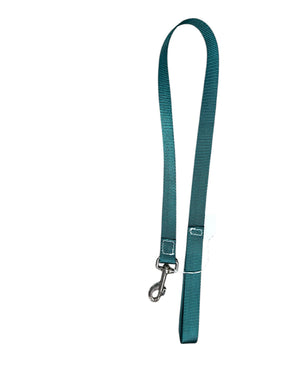 Sale dog leash teal