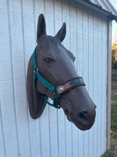 PERSONALIZED   nylon horse halter dark teal