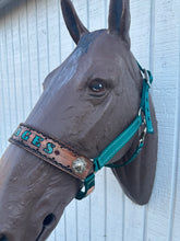 PERSONALIZED   nylon horse halter dark teal