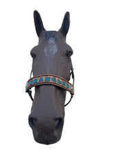 PERSONALIZED western  concho nylon horse halter.