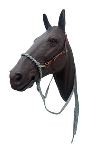 Loping hackamore with split reins