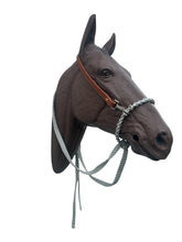 Loping hackamore with split reins