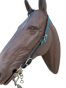 Butter soft black and turquoise leather one ear  Headstall with quick change buckles horse size